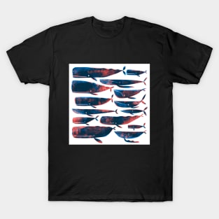 Printed whales White T-Shirt